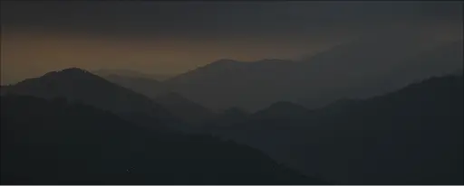 Gallery Background